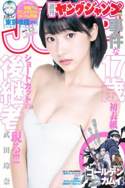典心作品全集