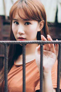 《新红楼梦》免费观看