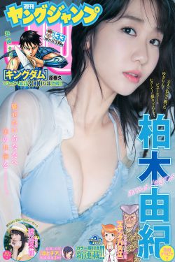 城中之城电视剧在线播放免费观看