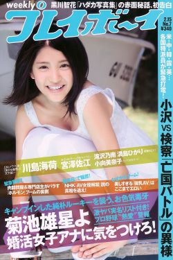 吸血鬼猎人d