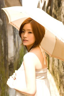 芳芳郁金香