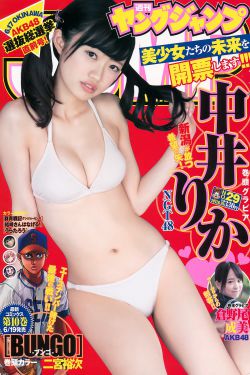 黑白禁区电视剧免费观看完整版